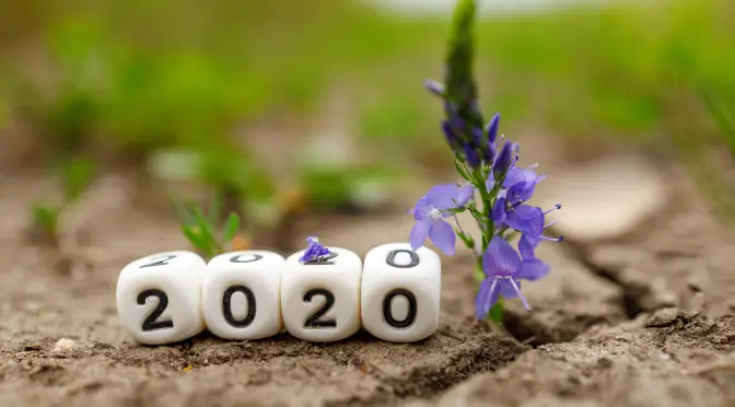 My 20 for 2020: Awesome Things that Kept Me Going